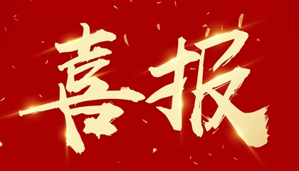 喜訊┃集團(tuán)黨委書記、董事長向誠榮獲市委表彰